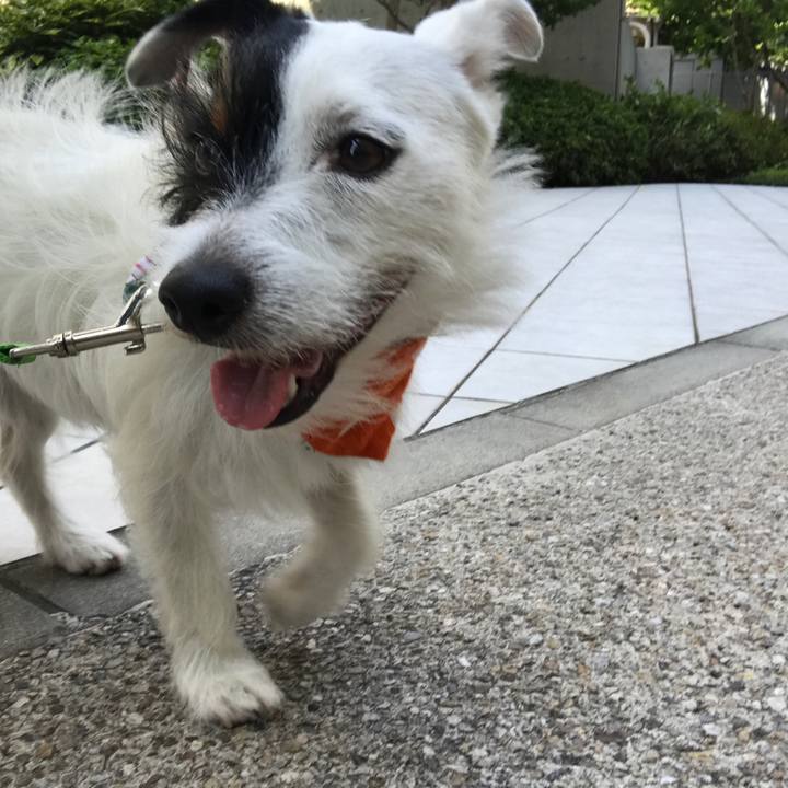 48a9a43c 8cfe 4242 b23a 8e57f7e241bc