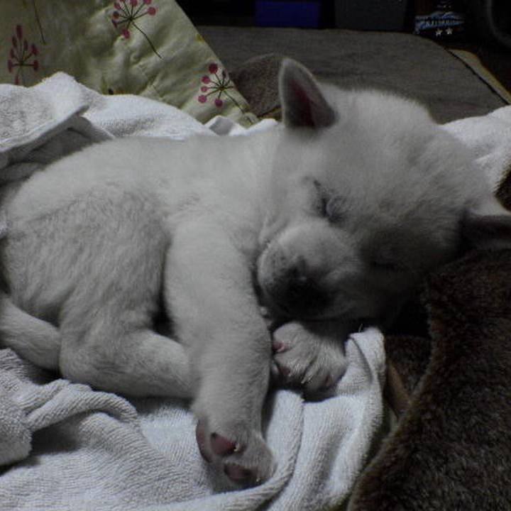 48aa79f2 81d0 420a b58e 1ec8b114f9a6