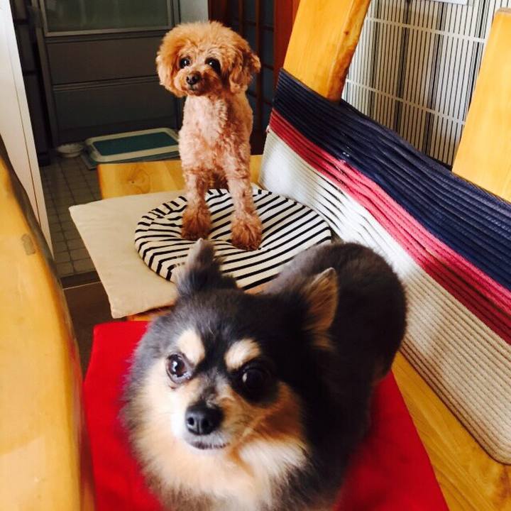 48aab23b 9862 4007 89e6 7cd0d52e2424