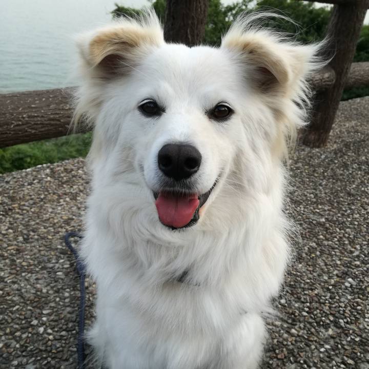 48ab78cc 243c 48d9 84a6 37aa37971233