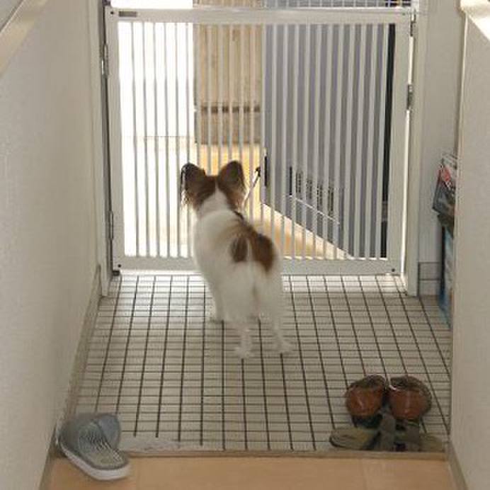 48ac2b37 5b8c 49e4 a6c1 6380184a9076