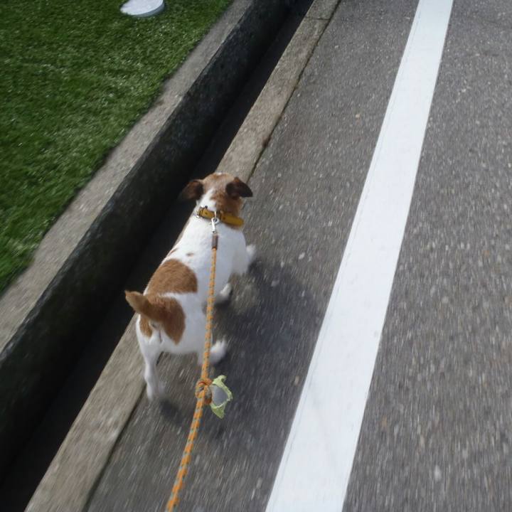 48ac651f 3d86 4326 a144 91b5c8b6a91c