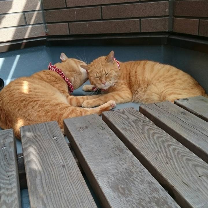 48acbdea 7290 4667 8375 381e3112e391