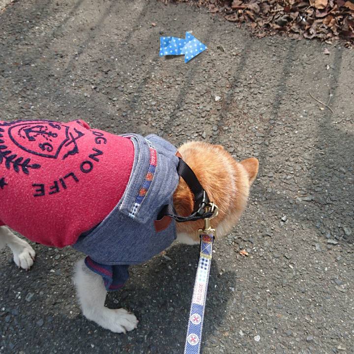 48ad2c9e dfed 4196 84e2 2907ee460dc2