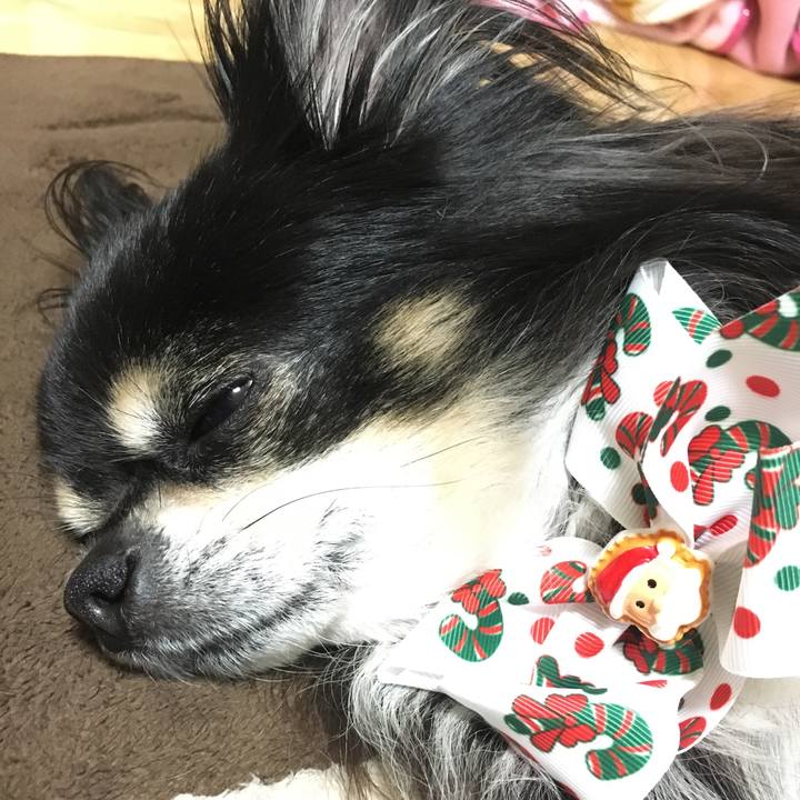 48ae66f9 1f70 40c8 b935 c399b30f417c