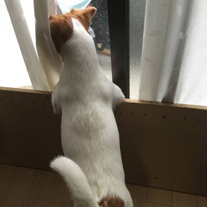 48aecc65 0e69 4ce6 ac37 2fcbfc9bdd4e