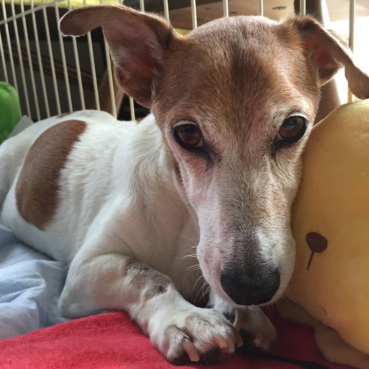 48af4419 0ce4 4804 bab2 5f6a1eda61d5