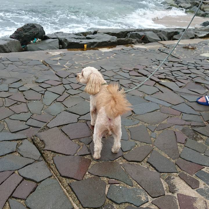 48af4510 d1aa 40f7 bffe 3fc6b3e4855d