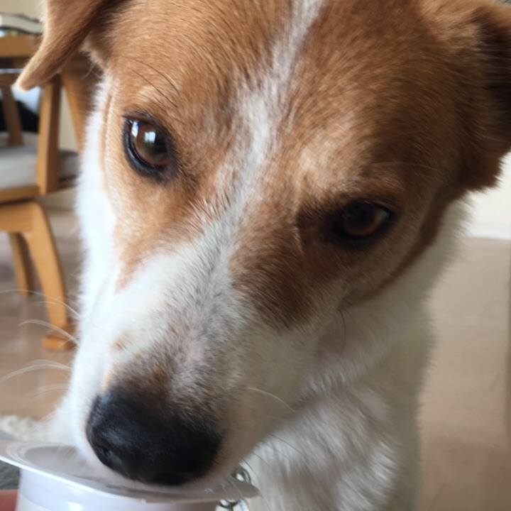 48afb897 1813 4a63 a176 7819fdb5b9b5