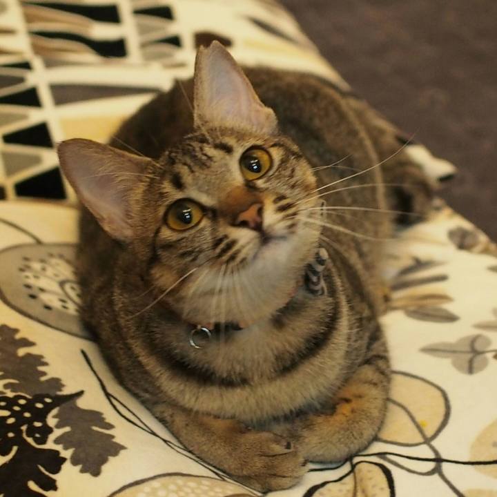 48b000f4 da1a 4299 8054 55475efce6b9