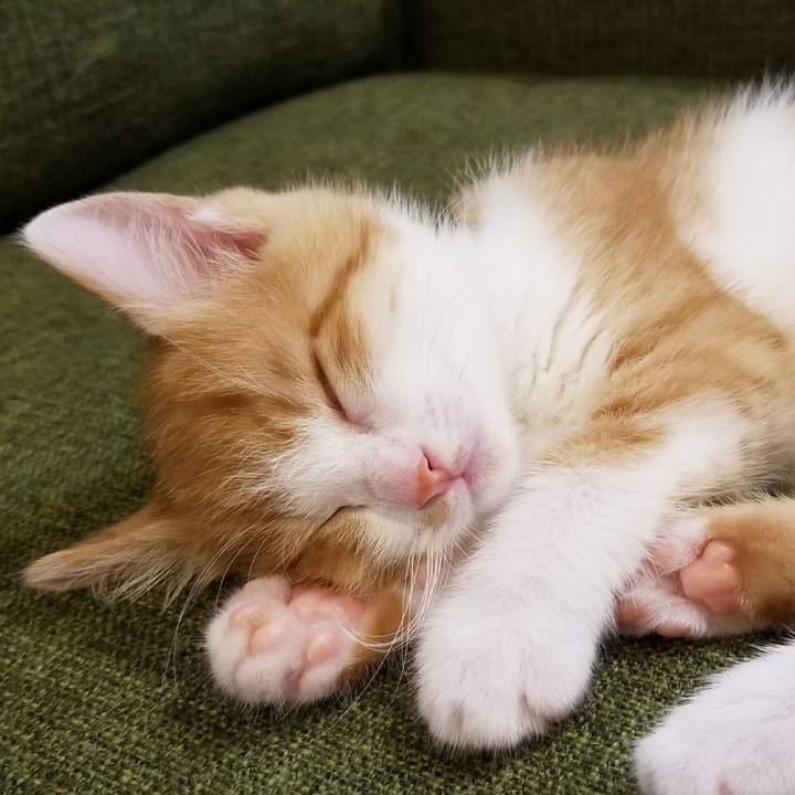 48b024a8 3a19 433f 9d3d d8d64778eca7