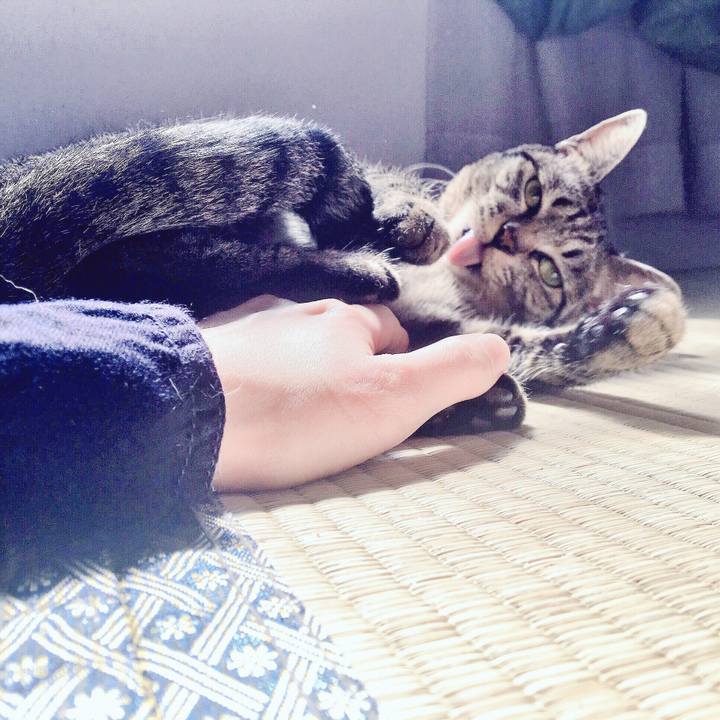 48b0436b 0bc4 415a a3b4 70eee3680bbb