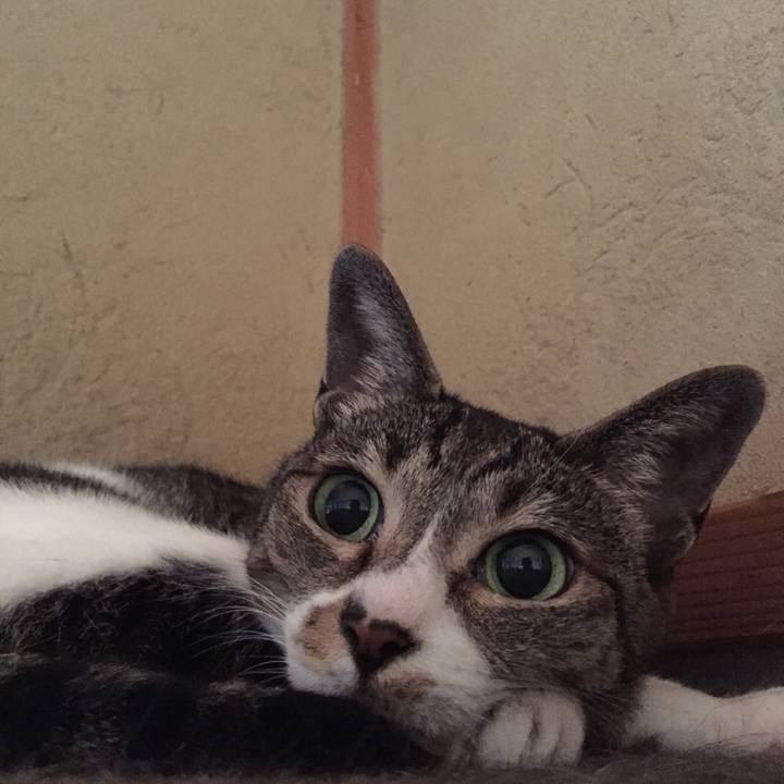 48b0a1e0 2c7a 4df0 ab18 947af16adf42