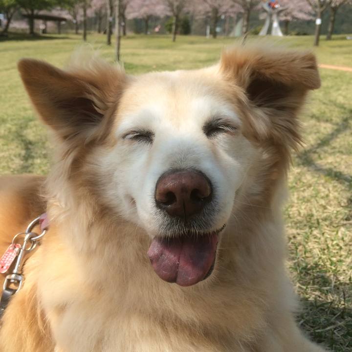 48b0d67f 0db0 4563 ab0c 38a0577950e7