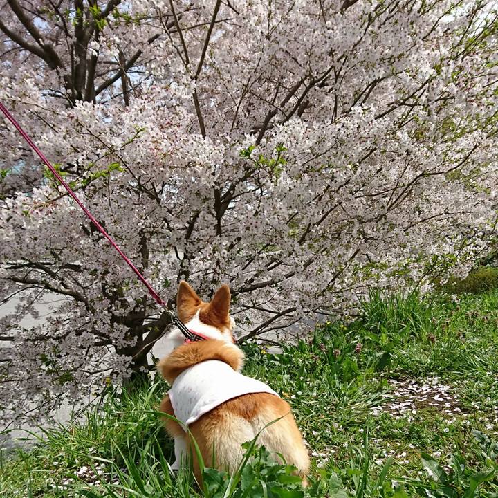 48b24c54 b974 4d97 a6da e9310829b716