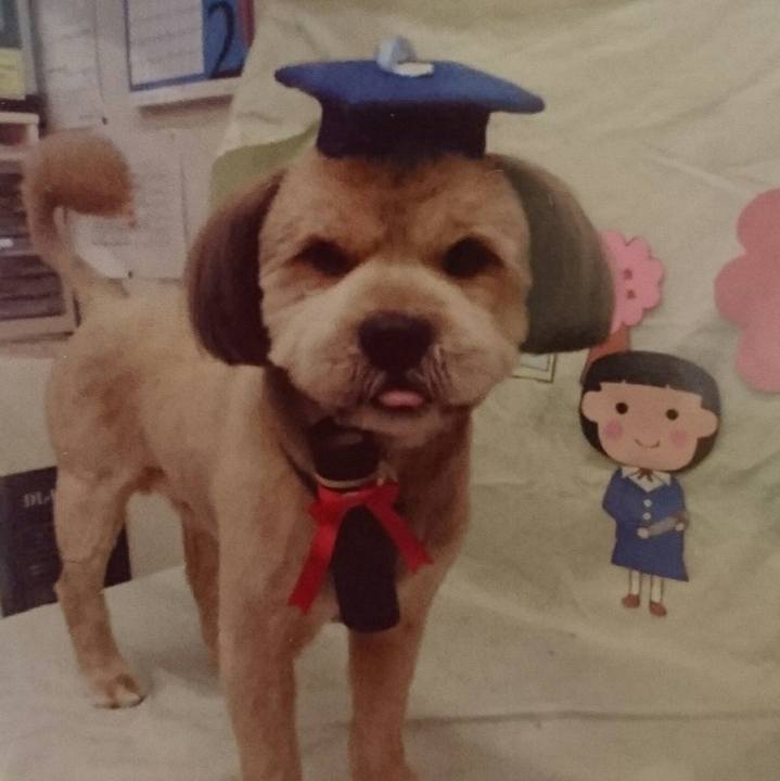 48b26c03 ef59 4d92 8729 066962be6189