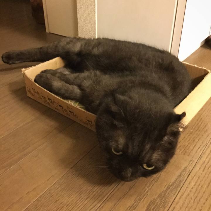 48b32ca2 9619 4ce7 8918 5aa3ff6f7c42