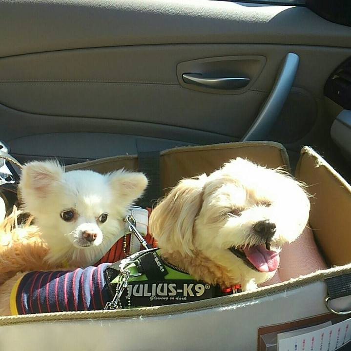 48b37fcd 7912 4263 a768 6cbe43601052