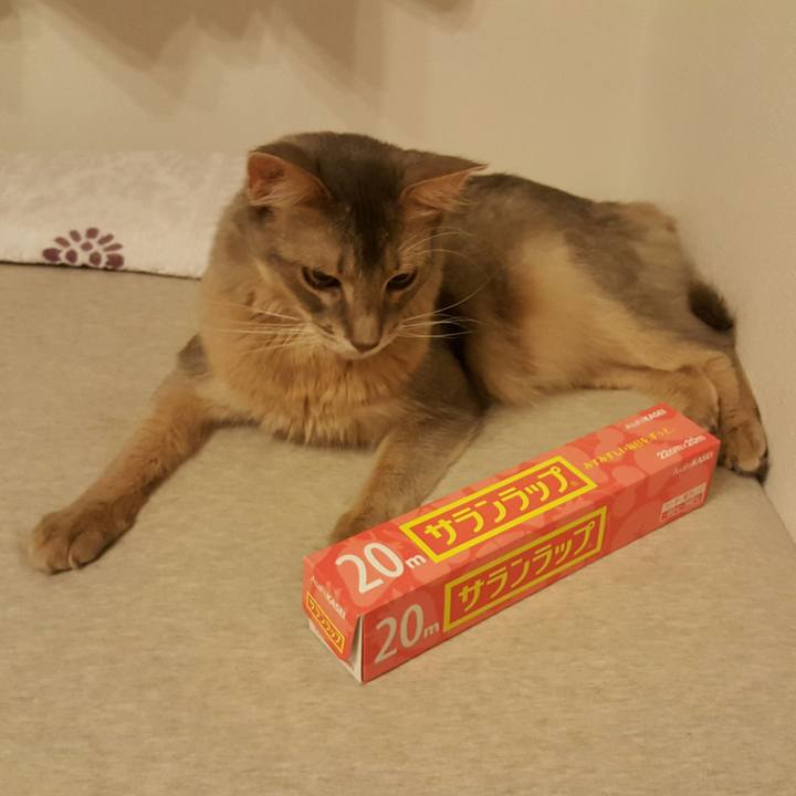 48b38fd4 4c94 452a a1d4 44f087d0f06f