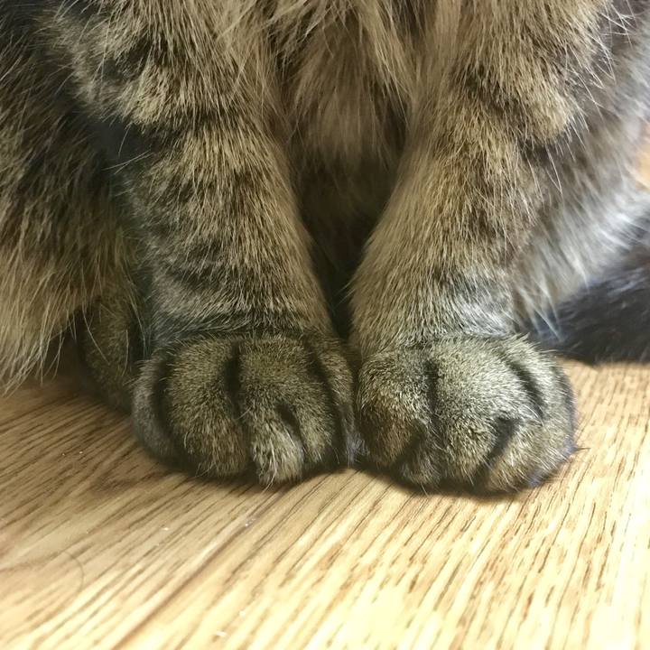 48b3c390 7fa7 4c7c bed7 4a6527db6c3f