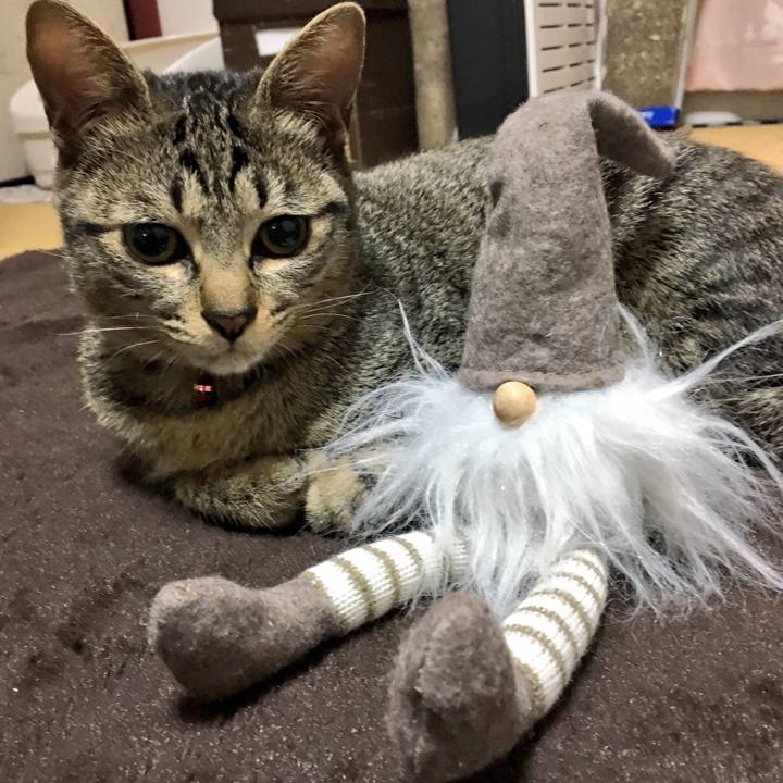 48b41432 2603 41cb 86e5 524a6c936980