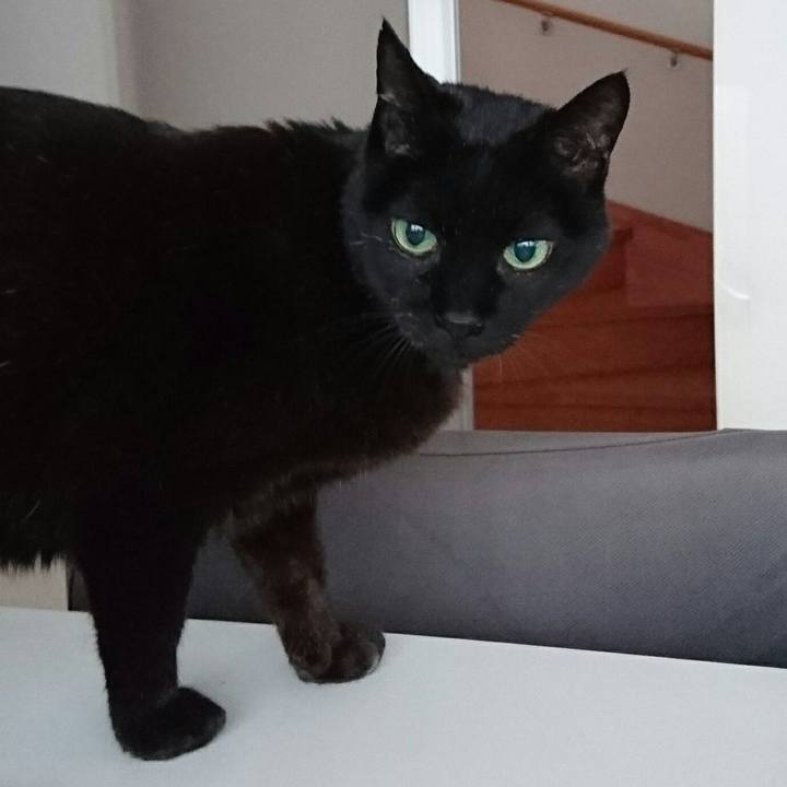 48b45c54 db3d 4697 915c 0947d3088498