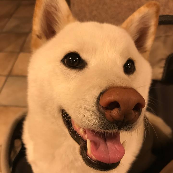 48b4ab49 9c6f 4269 a2f3 15824ac405c3