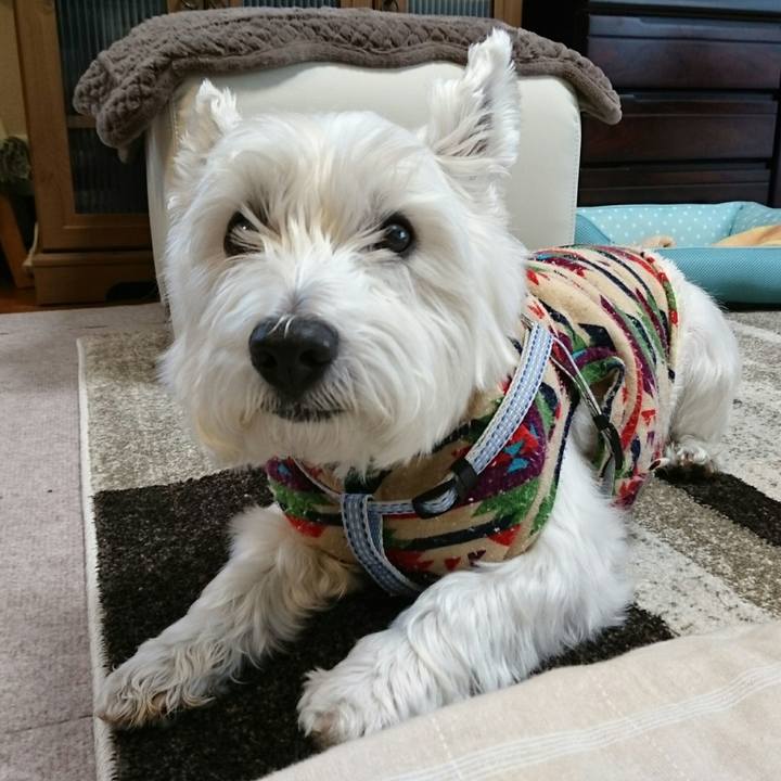 48b4eae3 de4d 4a16 997d aeed02dc412d