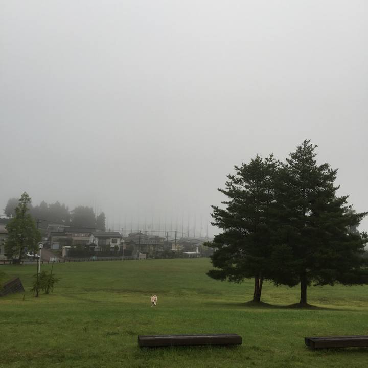 48b51a26 c15d 49aa 9b3f 3346437077ac