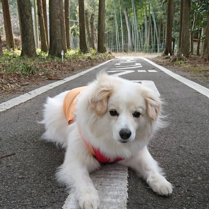 48b539d6 7fe9 47a9 a8dd 0d44318506e0