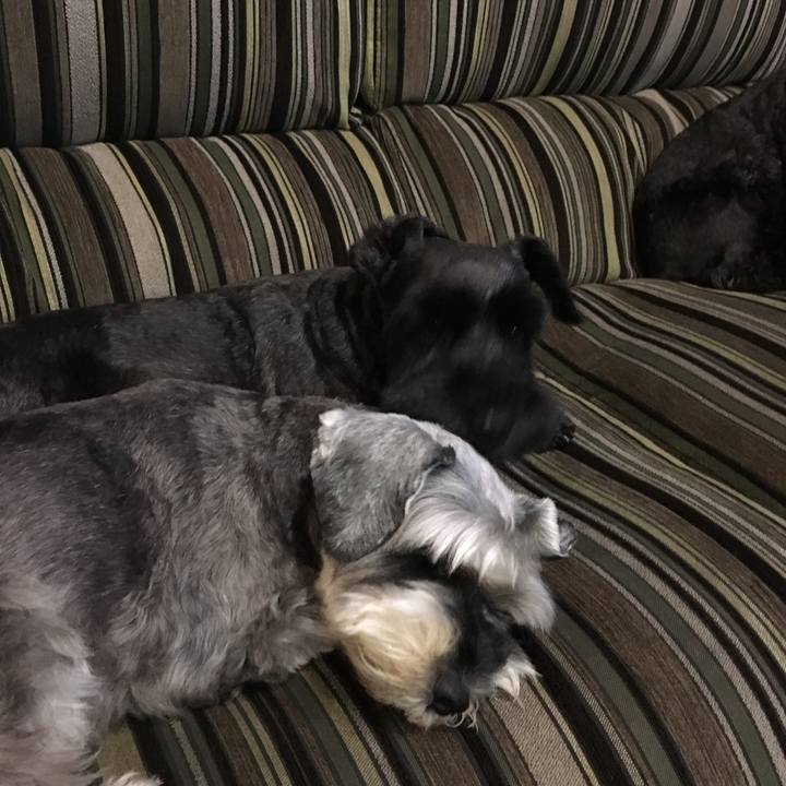 48b53a03 9cf8 4375 95c7 412f4324a0c6