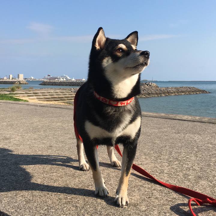 48b54453 8b42 4280 9c30 40a6a0448c8a