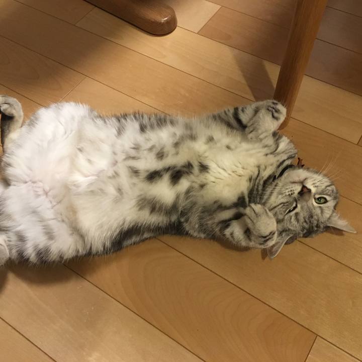 48b58f51 f556 4312 a246 236d4c6862ae