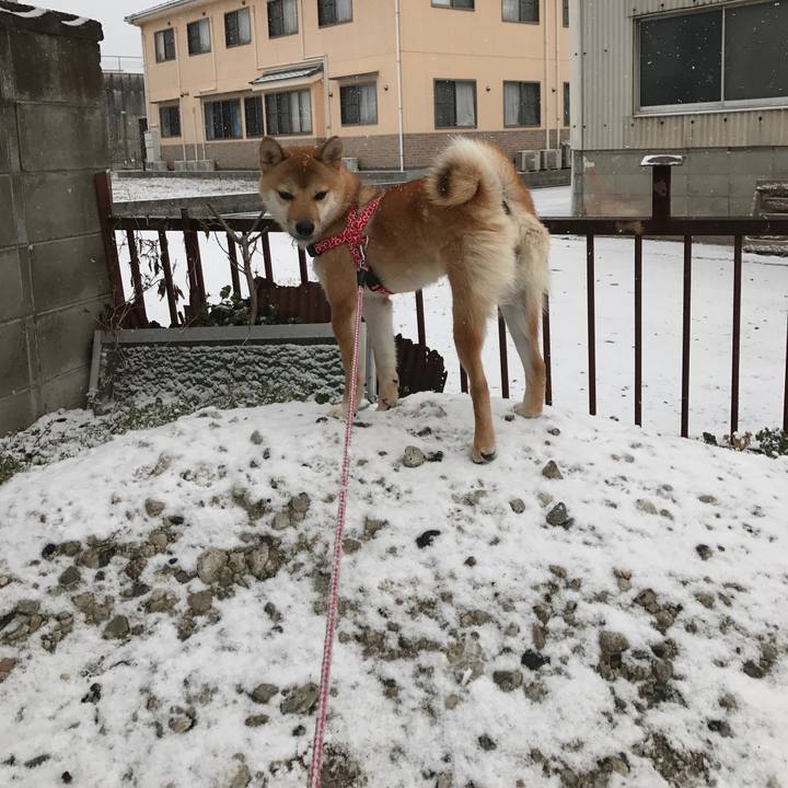 48b684eb 7858 49db 81bd 5ef7bcae51bb