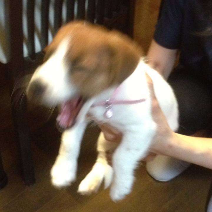 48b78cc6 e3f6 4acb 8e95 41055f8aa54c