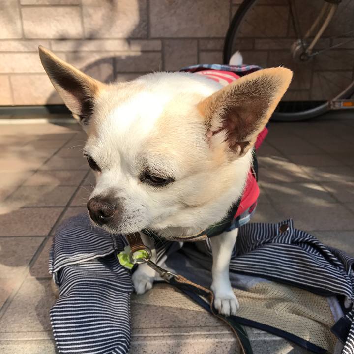 48b7d847 4fde 42d8 bb37 2997bb454a54