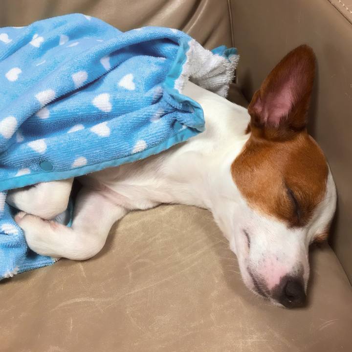 48b84e60 9226 4e03 ac22 3ed56d4f2fd8