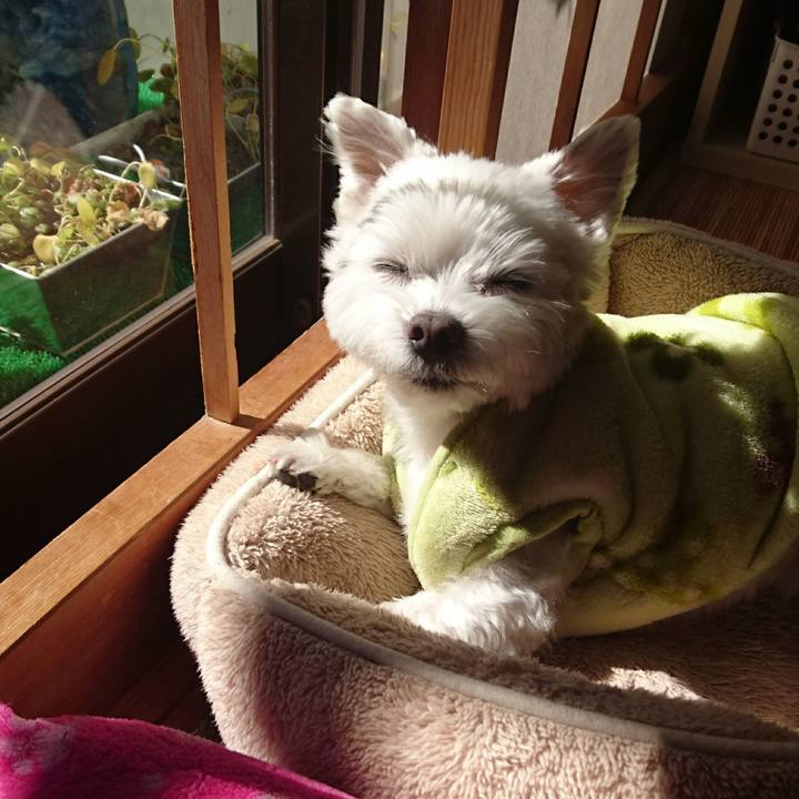 48b968bb 2e64 4838 b60a 98449776acbf