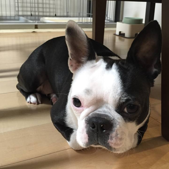 48b9b6e7 ec0d 4c6b b318 9fb041566440