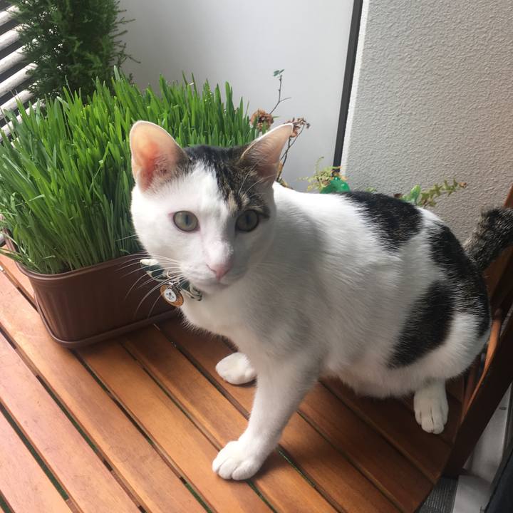 48b9ea89 fe27 45db b4d9 494291c276a4