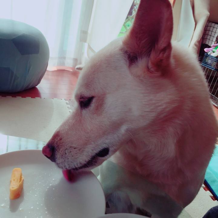 48bb3fe1 00cc 436c 8d4e 111ba453aed6