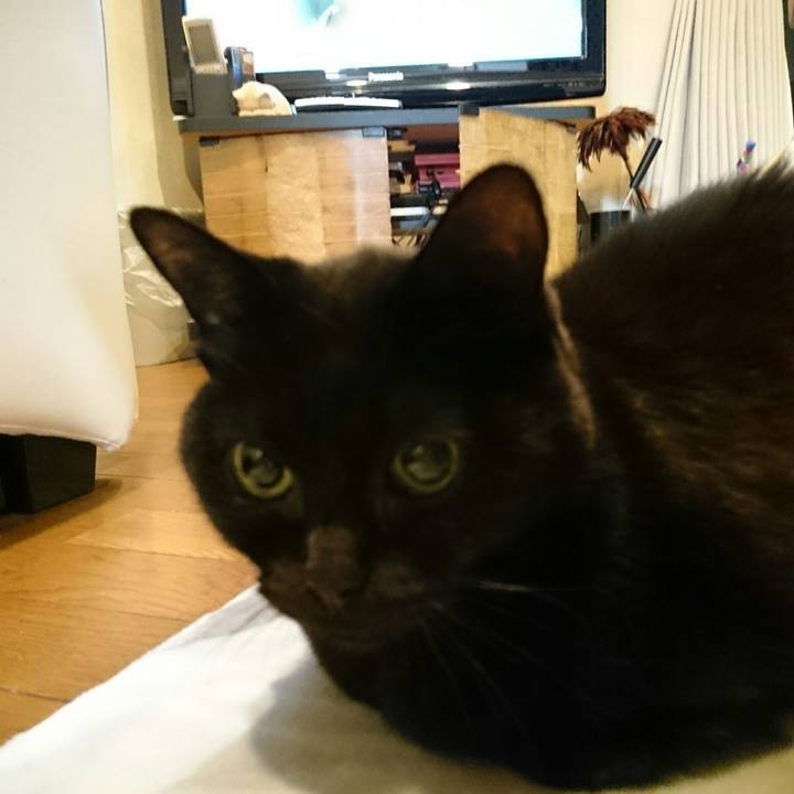 48bb9124 ed22 4c26 8514 2ba28f79b90f