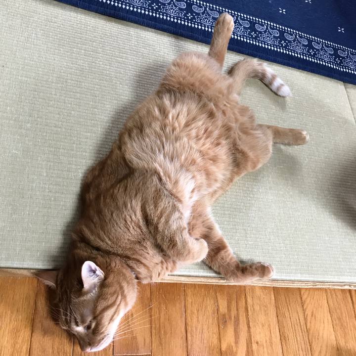 48bb9c68 a461 48ec 86e8 d237b33ee71a