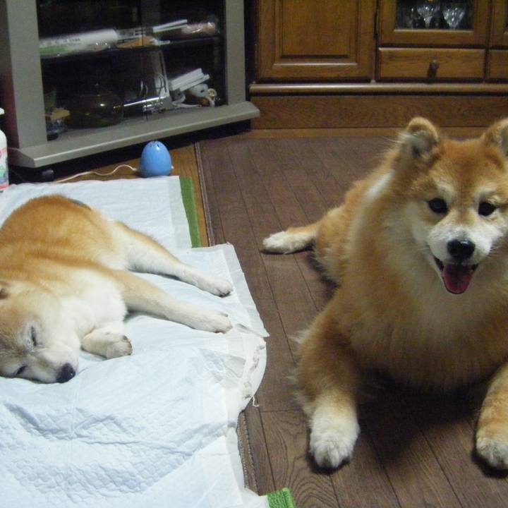 48bc59d9 247a 4cd4 b272 e0c2ffd04fb4