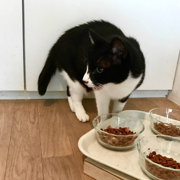 48bc72a7 ea44 441b a1a2 21c66a76d7ac