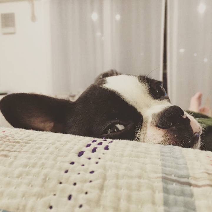 48bc7358 354a 4cd3 9cc3 3b8b9fc466e1