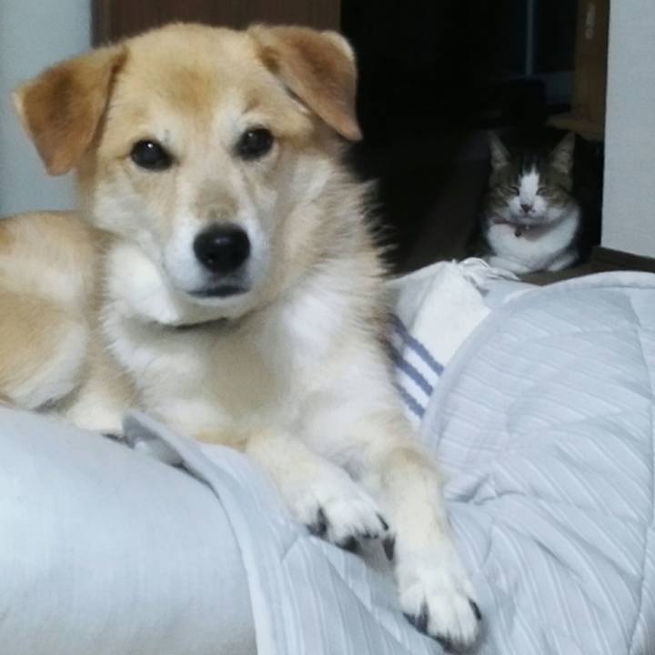 48bc99f0 f2c6 42de a5be 8de8f69851d5