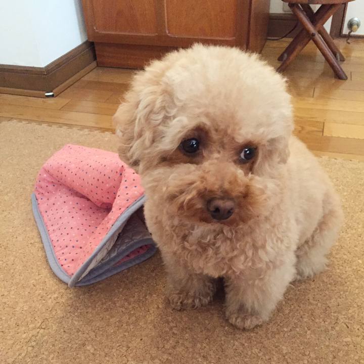 48bcf641 554c 4e3b 931b a03a551b438e