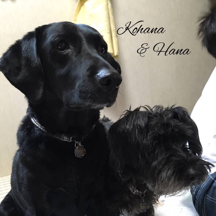 48bd242f 27f0 484e 897d f27d7bca4028