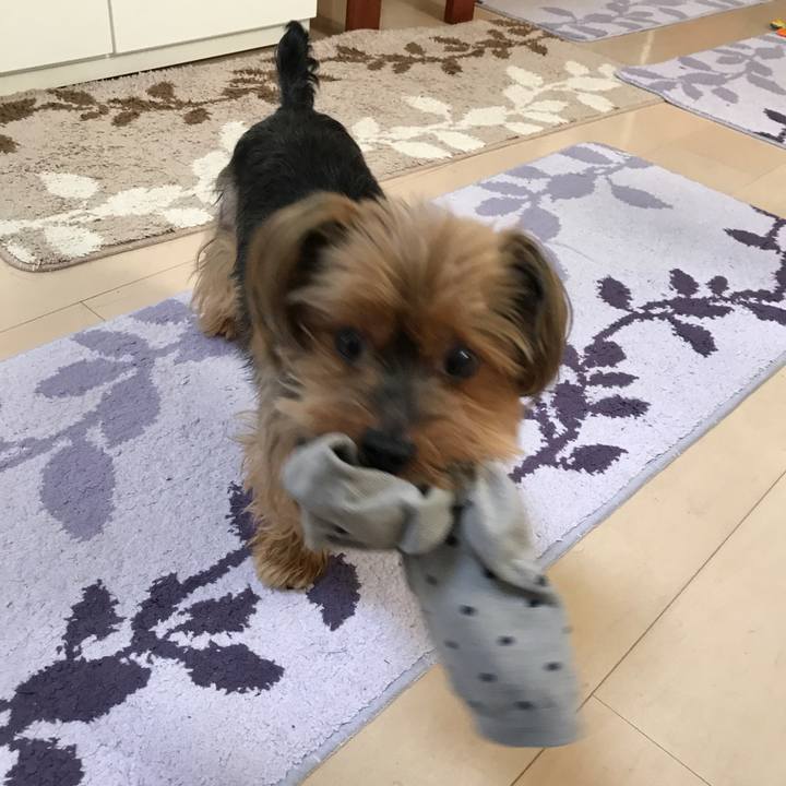 48be99c7 c3a9 49d1 8d0e c88334ed14c5